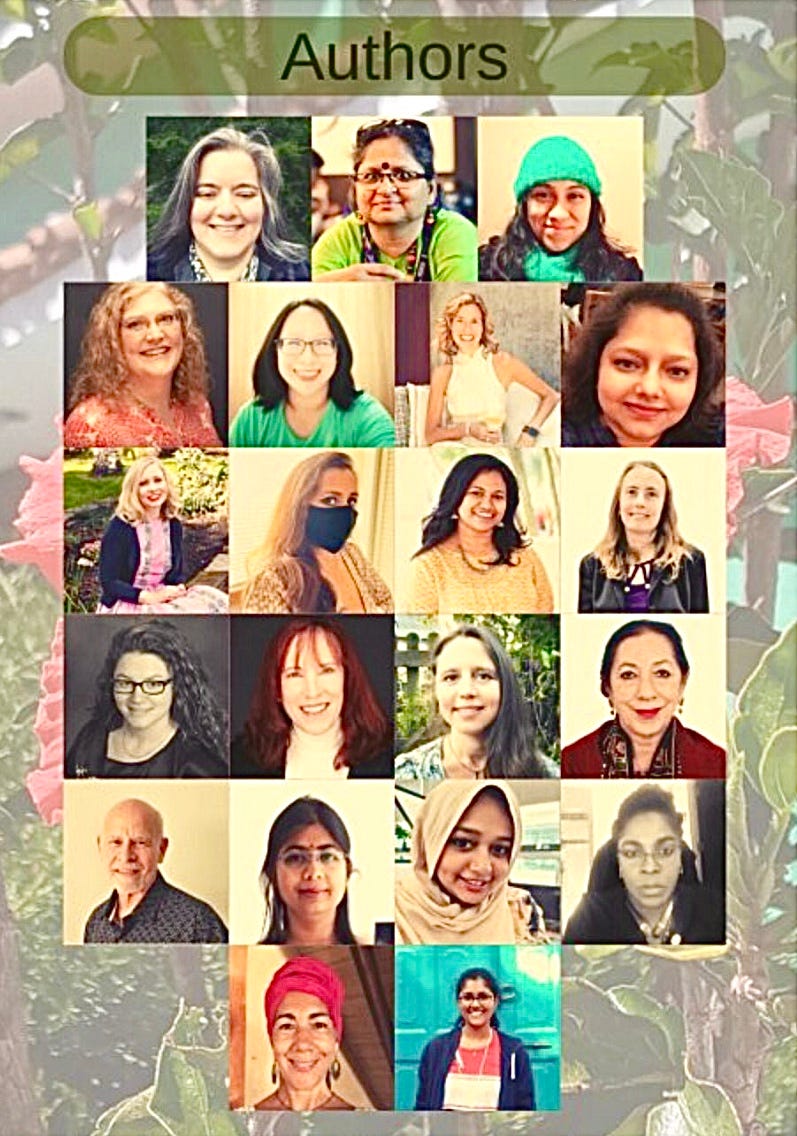 Photo collage of a all authors for book Holistic Journey Toward Wellness