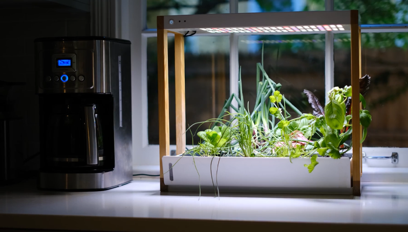 Automated Smart Indoor Garden for Home Plants