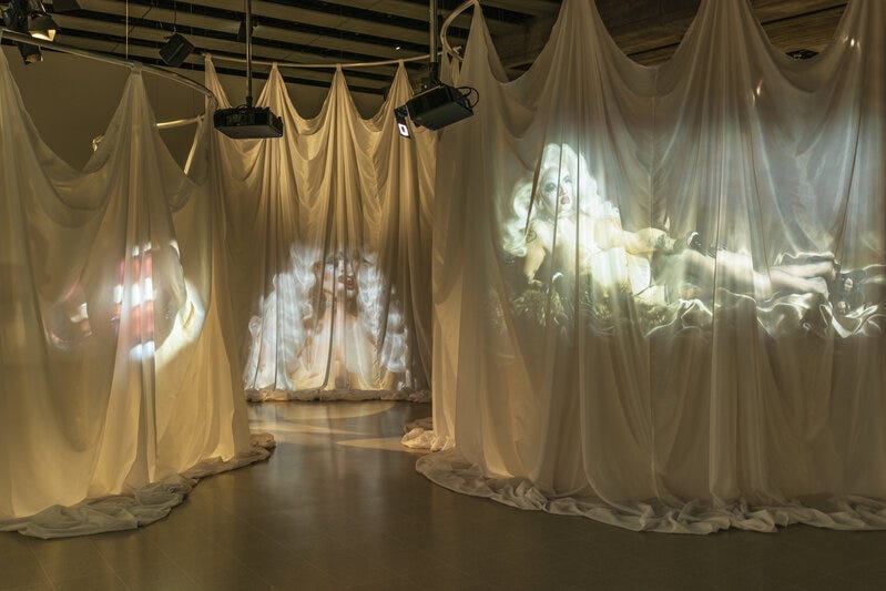Installation work showing naked bodies behind curtains