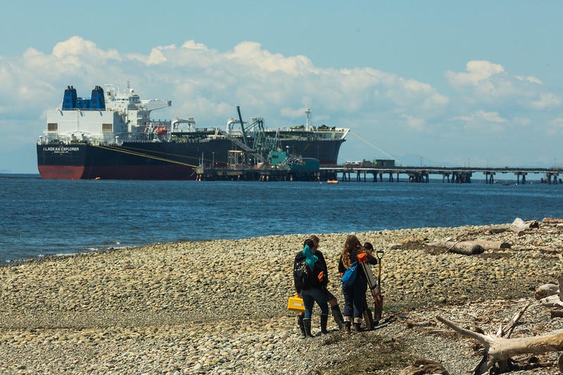 Students work on the shoreline of Cherry Point with a large ship in the background.