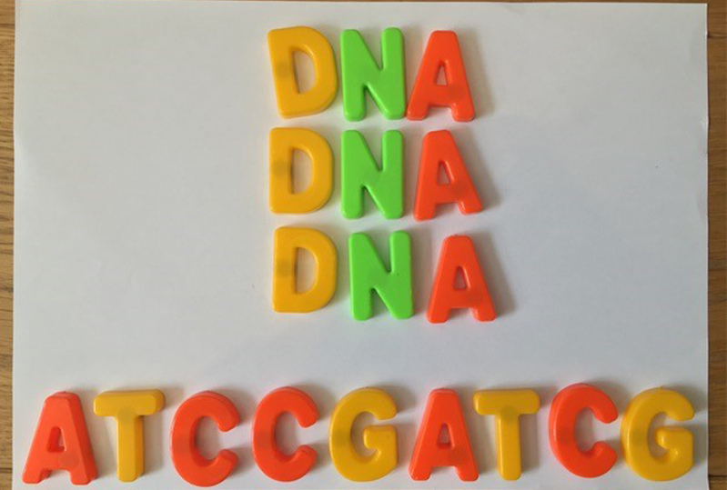 The four letters of DNA.