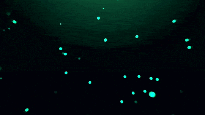 0*-A398acAw0rM-x2t.gif