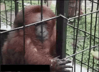 0*-G20Qu49MyqYmnjV.gif