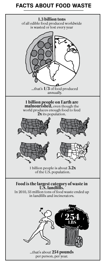 Facts about food waste infographic