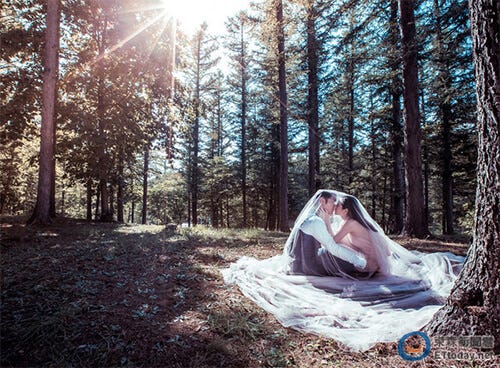 还记得《薰衣草》的陈怡蓉吗？她要当美嫁娘啦！