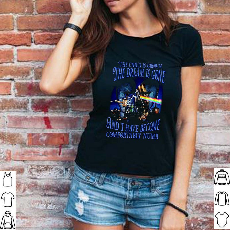 Comfortably Numb Lyrics Pink Floyd Delicate Sound Of Thunder Shirt