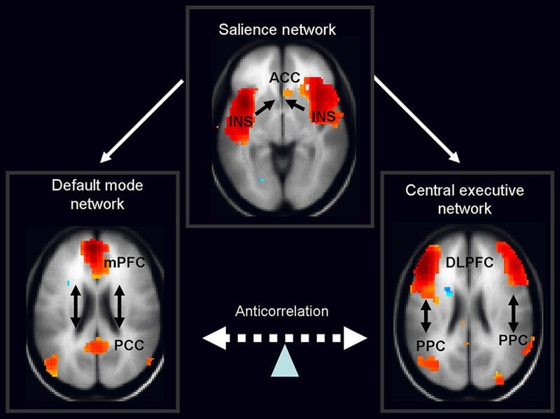 Brain scan image illustrating three networks: Default Mode Network with medial Prefrontal Cortex and Posterior Cingulate Cortex active; Salience Network with Anterior Cingulate Cortex and Insula; Central Executive Network with Dorsolateral Prefrontal Cortex and Posterior Parietal Cortex. Arrows show connectivity; a bidirectional arrow denotes the Default Mode and Central Executive Networks’ anticorrelation, linked by the Salience Network.