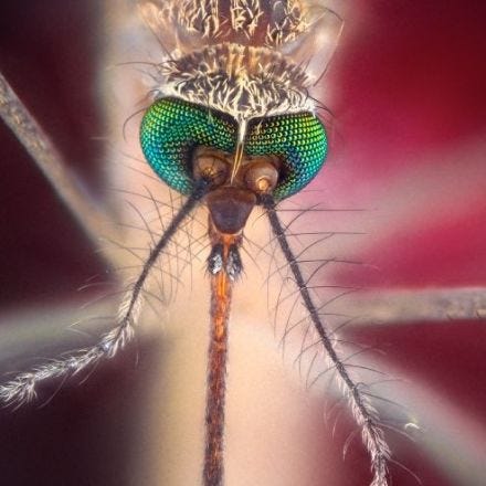 Gate's Notes: Mapping the End of Malaria