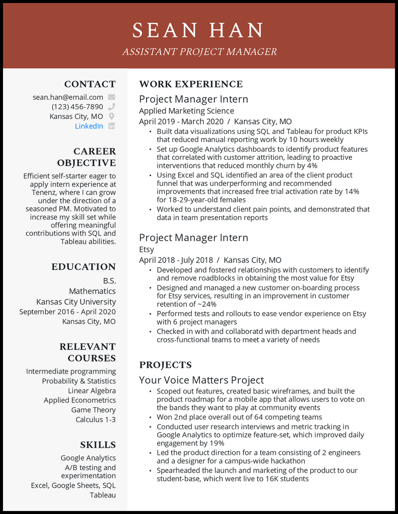 Project Manager Resume