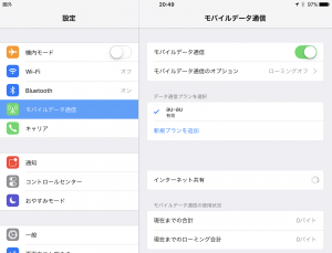 AppleSIM00018