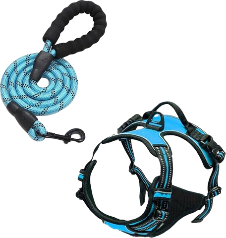 Prong Collar vs. No-Pull Dog Harness: Which one is better?