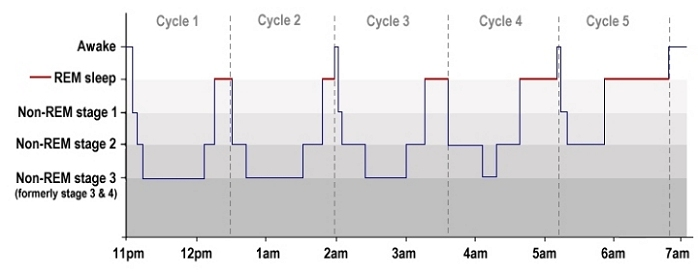 Simple, evidence-based steps for sleep optimization
