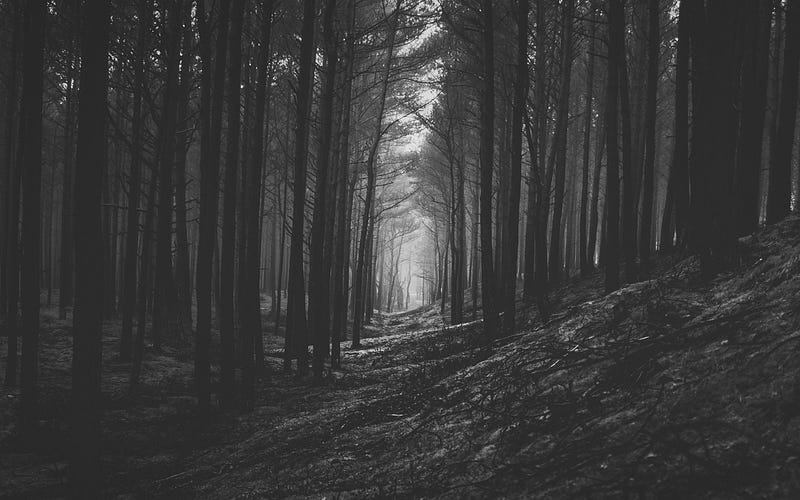 hutan
