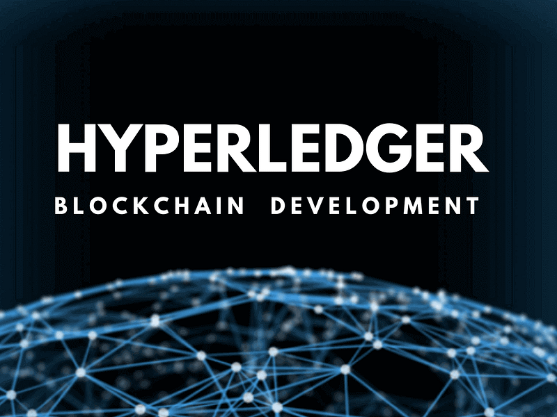 Hyperledger Blockchain Development Company: Everything You Need To Know In 2025