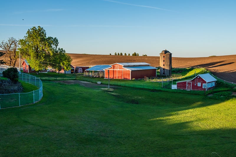 “barn on green field” by Michael Bourgault on Unsplash