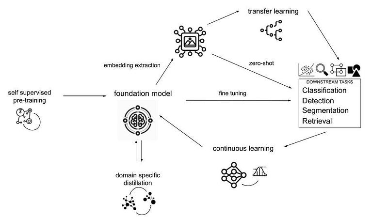 An illustration of the fine-tuning process in AI model development, emphasizing the balance between performance and resource use