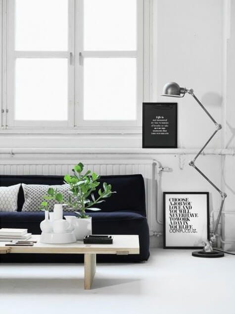 Scandinavian home with plant