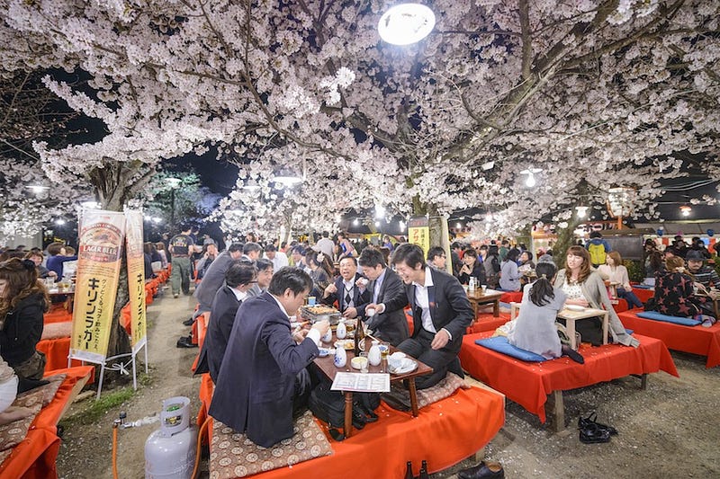 Revelers continue the hanami party until late at night