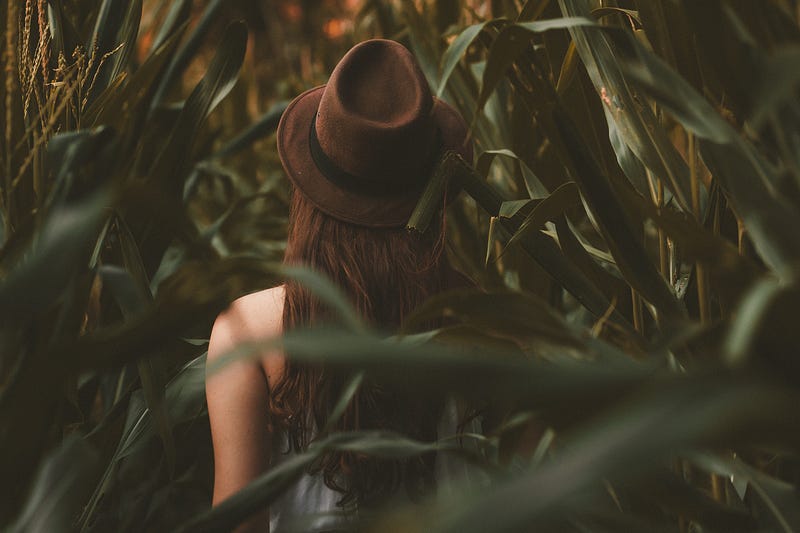 In a corn frield a woman with a brown hat is walking away.