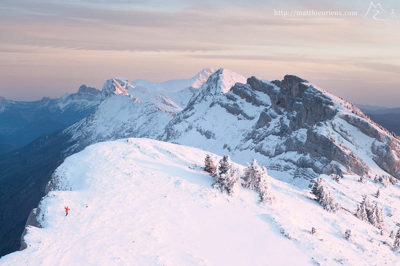Dans une lumière adoucie par les voiles dans le ciel, une sorte d'arbre de Joshua se balade sur les crêtes du Vercors. Rejoindra-t-il le Cornafion que l'on aperçoit ?
