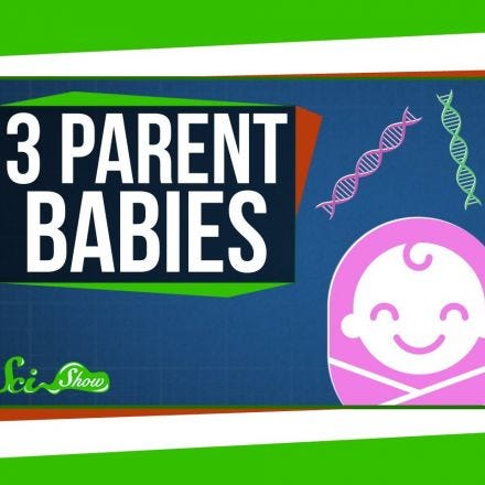 Babies With Three Parents