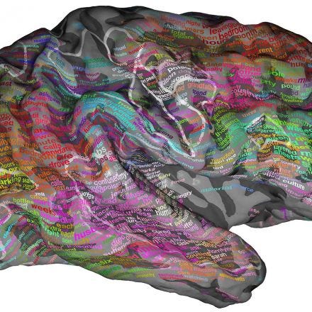 Scans Show 'Brain Dictionary' Groups Words By Meaning