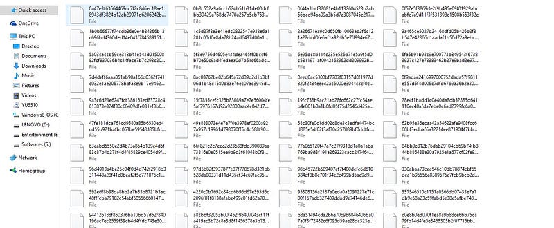 screen full of files