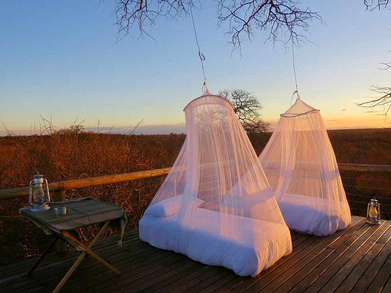 Use A Mosquito Net, Don’t Act Too Cool