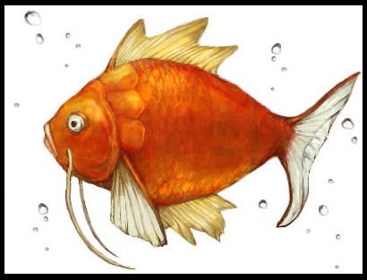 Real Pokemon (30)