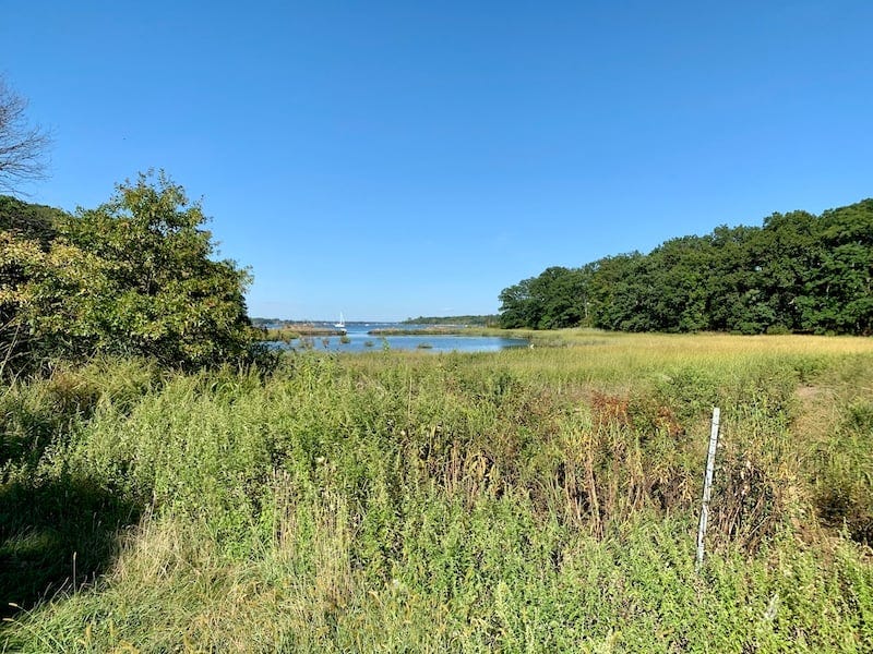 greenspace at Pelham Bay Park