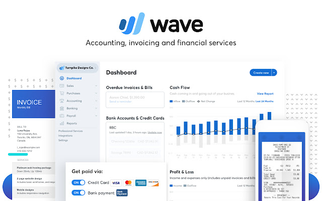 Wave Accounting Screenshot 1