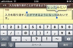 iPhoneOS3.0コピー＆ペースト2