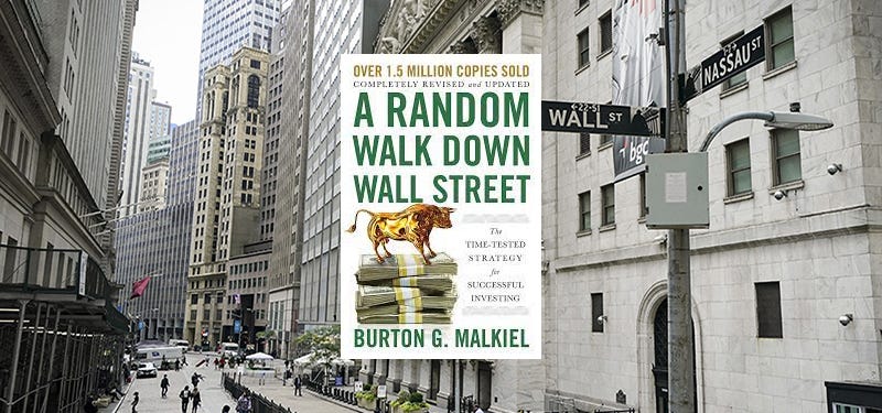 Image of the Book 👉”A Random Walk Down Wall Street”