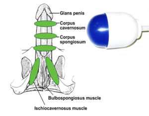pulse wave therapy for male enhancement