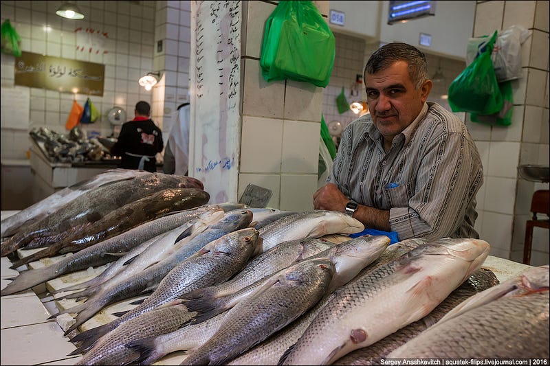 Kuwait Fishmarket / Рыбный рынок в Кувейте