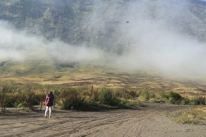 edisi-28-destinasi-bromo-savana