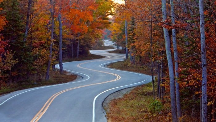 Writing and the Creative Life: Trust the Process
