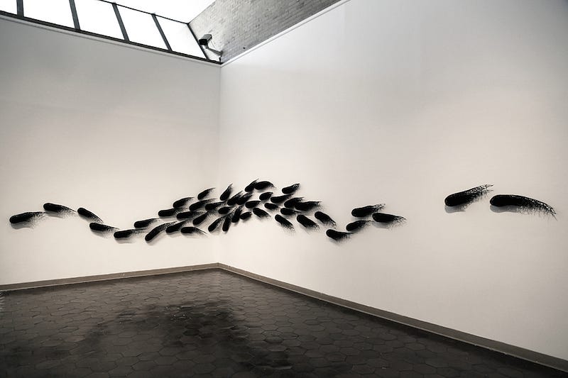 Sui Park