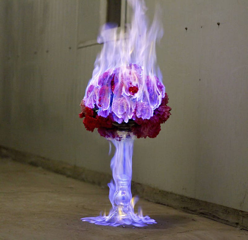 fireflowers-5-900x872