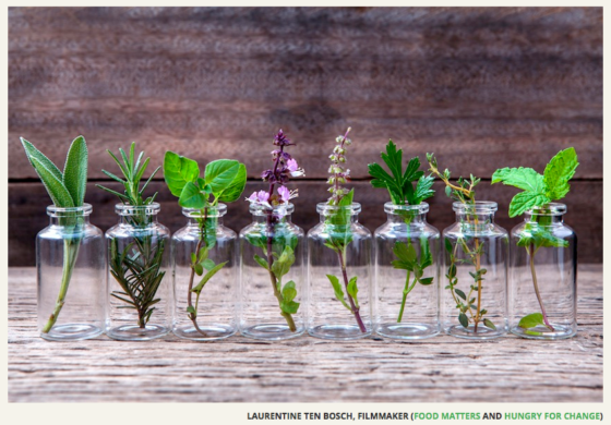 9 essential oils you need in your life