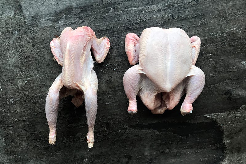 Spot the difference: organic free range spent hen on the left, high welfare free range chicken on the right.