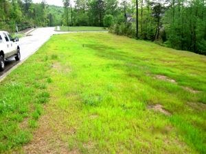 Fertilization project in Chelsea