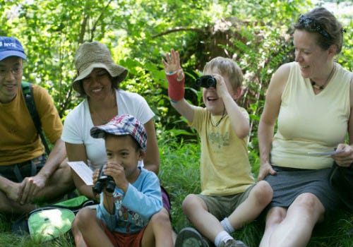 birding-families_l