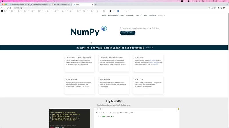 Python libraries for AI and data science