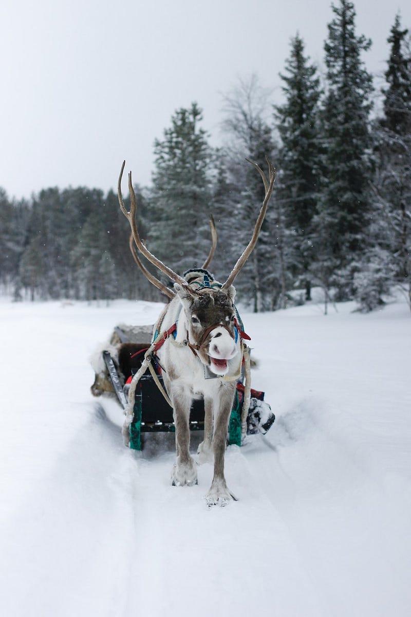 Santa’s Secret Weapon — Reindeer Math