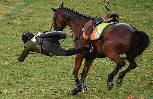 Horse knocked jockey down
