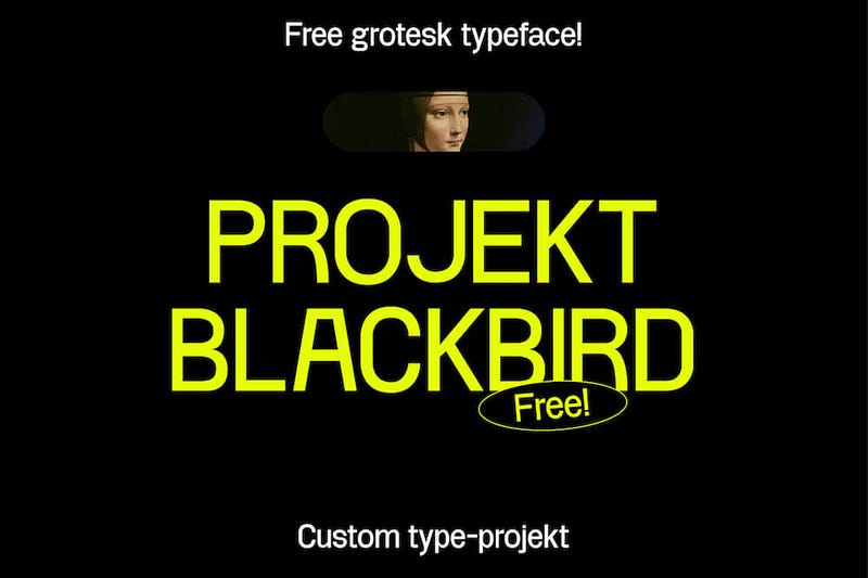 Projekt Blackbird