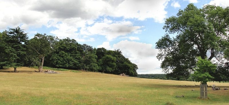 Strange English Place Names: Spankers Hill Wood photo