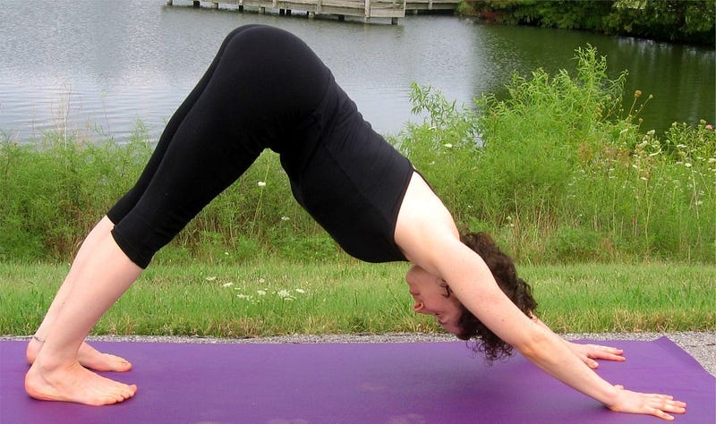 Downward Facing Dog (Adho Mukha Svanasana)